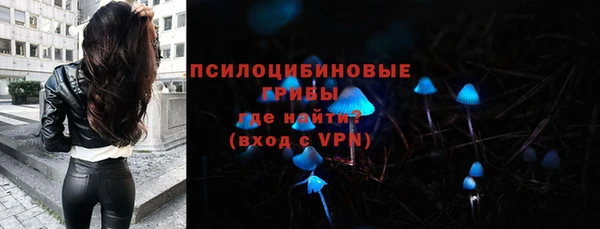 mdpv Лабытнанги